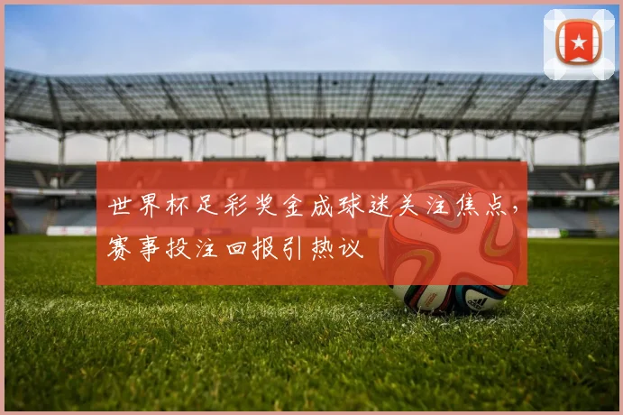 世界杯足彩奖金成球迷关注焦点，赛事投注回报引热议
