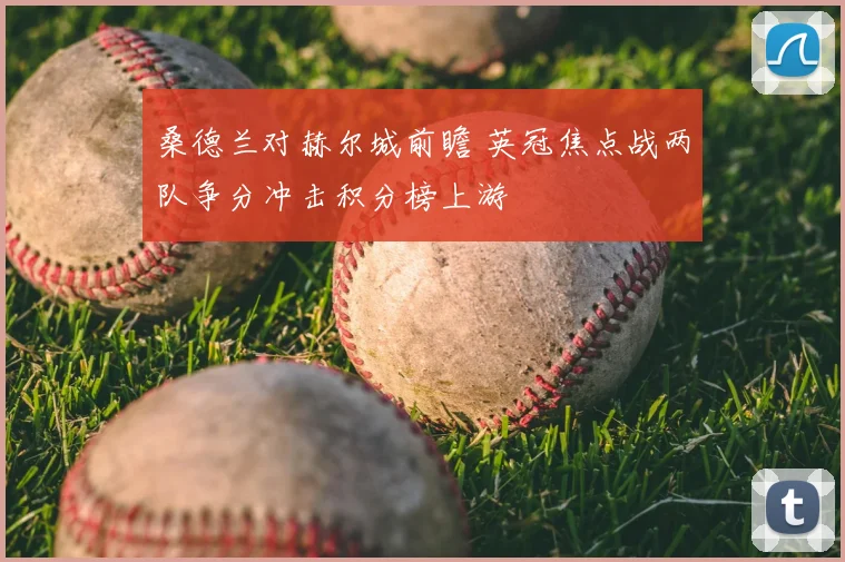 桑德兰对赫尔城前瞻 英冠焦点战两队争分冲击积分榜上游