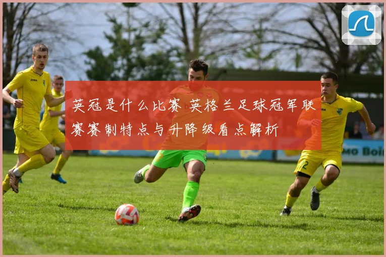 英冠是什么比赛 英格兰足球冠军联赛赛制特点与升降级看点解析